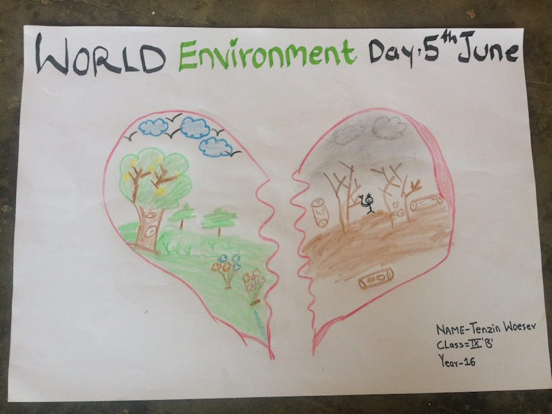 twa-observed-world-environment-day4